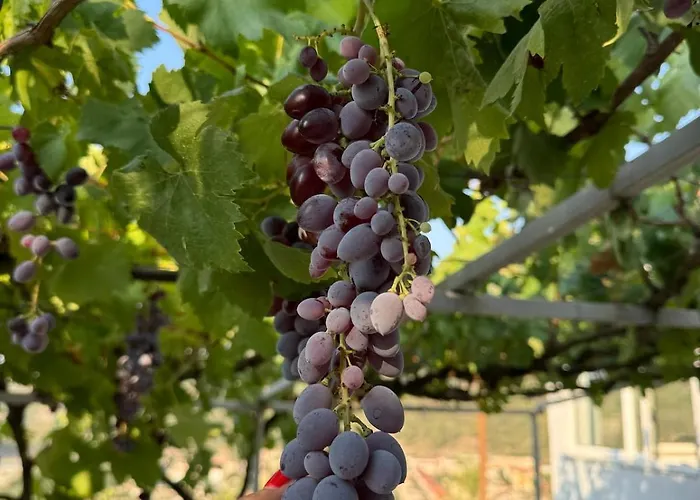 Casa de Férias Llanaj *