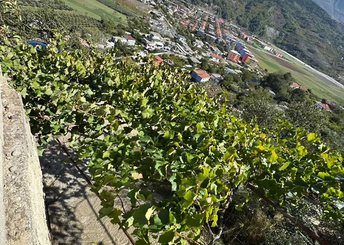 Llanaj Casa de Férias